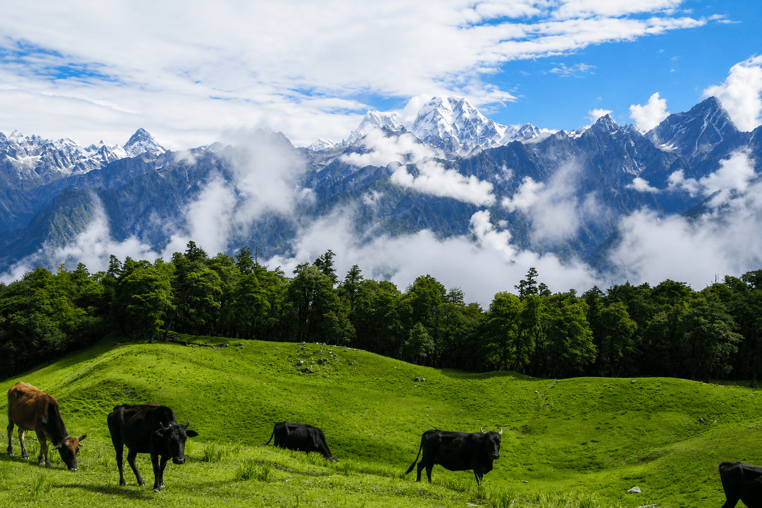 Garhwal Peaks & Valleys Escape