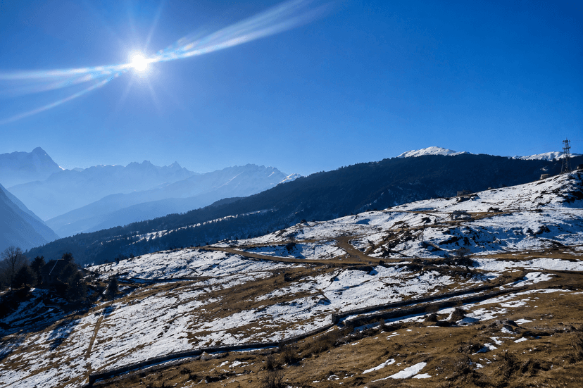 Himalayan Alpine Beauty