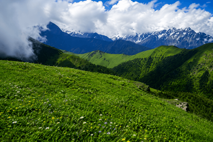 Auli Meadows