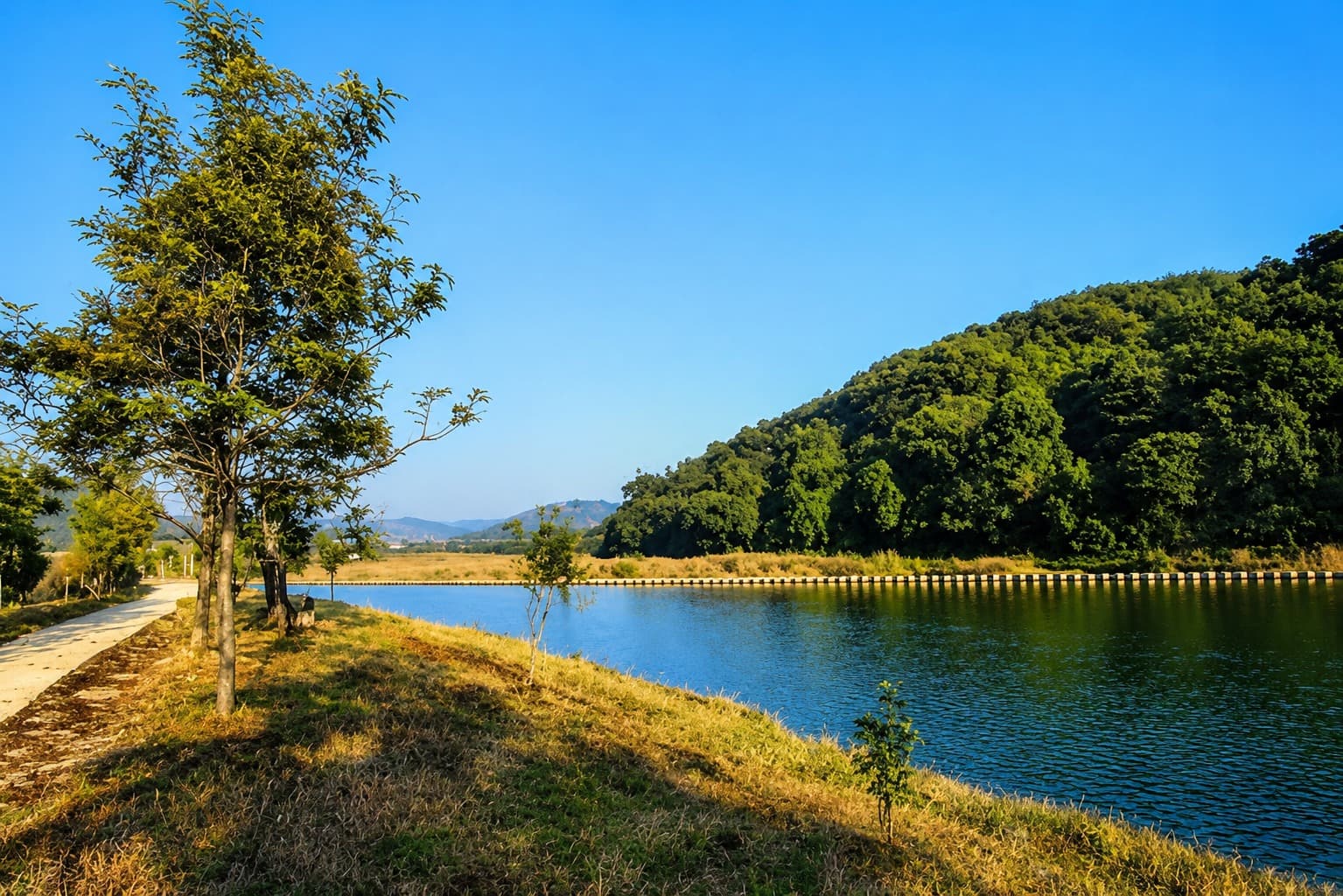 Riverside Experience