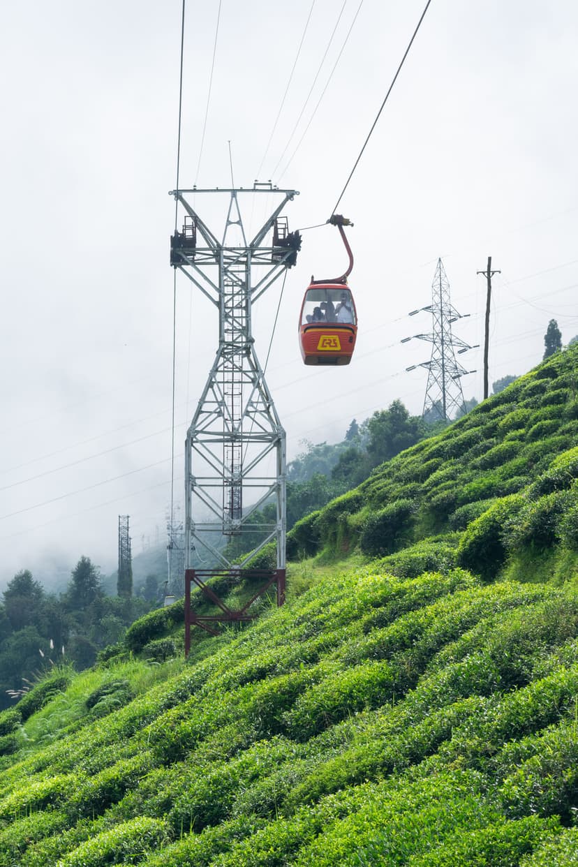  Ropeway Experience
