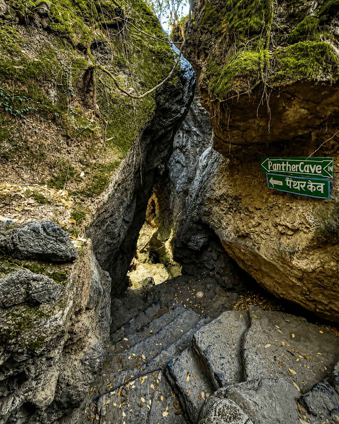 Eco Cave Garden
