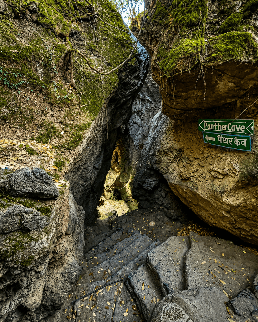 Eco Cave Garden