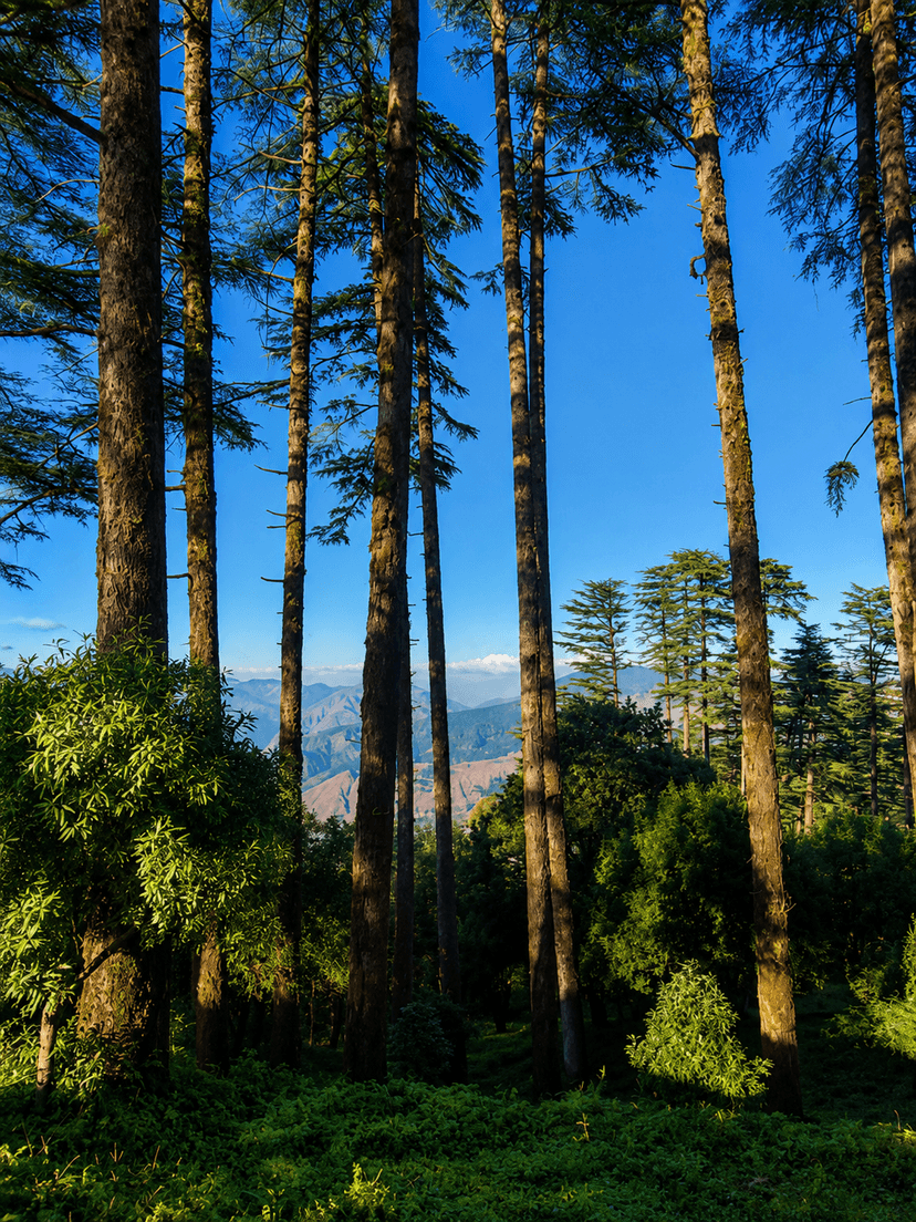 Himalayan Nature Views