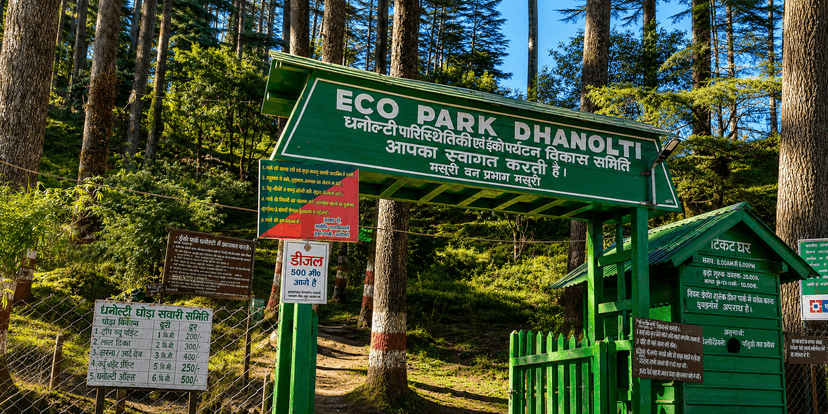 Dhanaulti Forest Escape