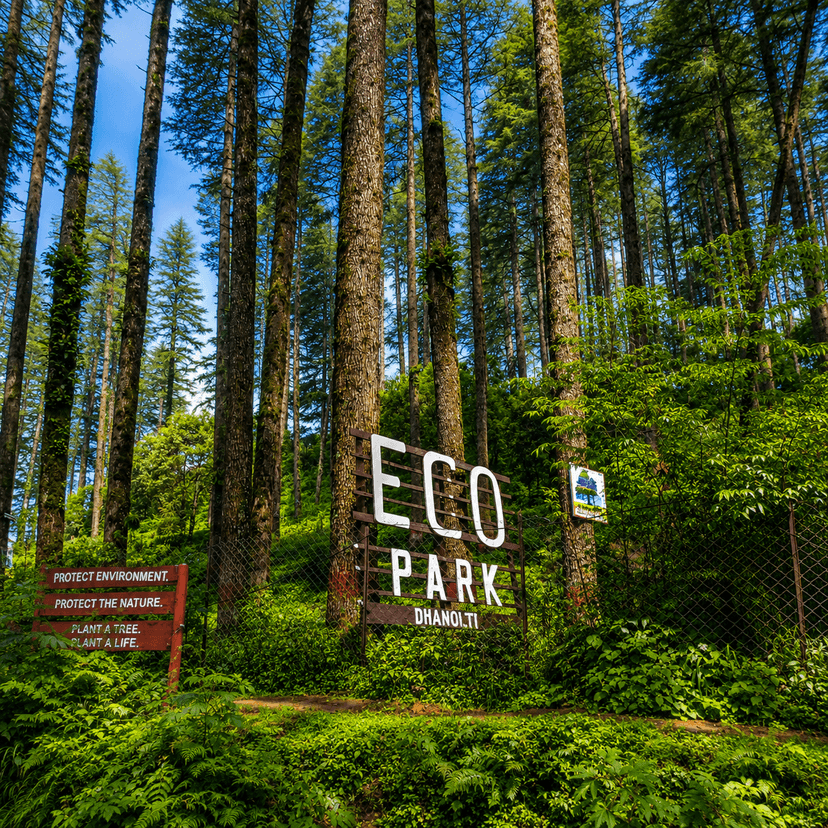 Adventure in Dhanaulti