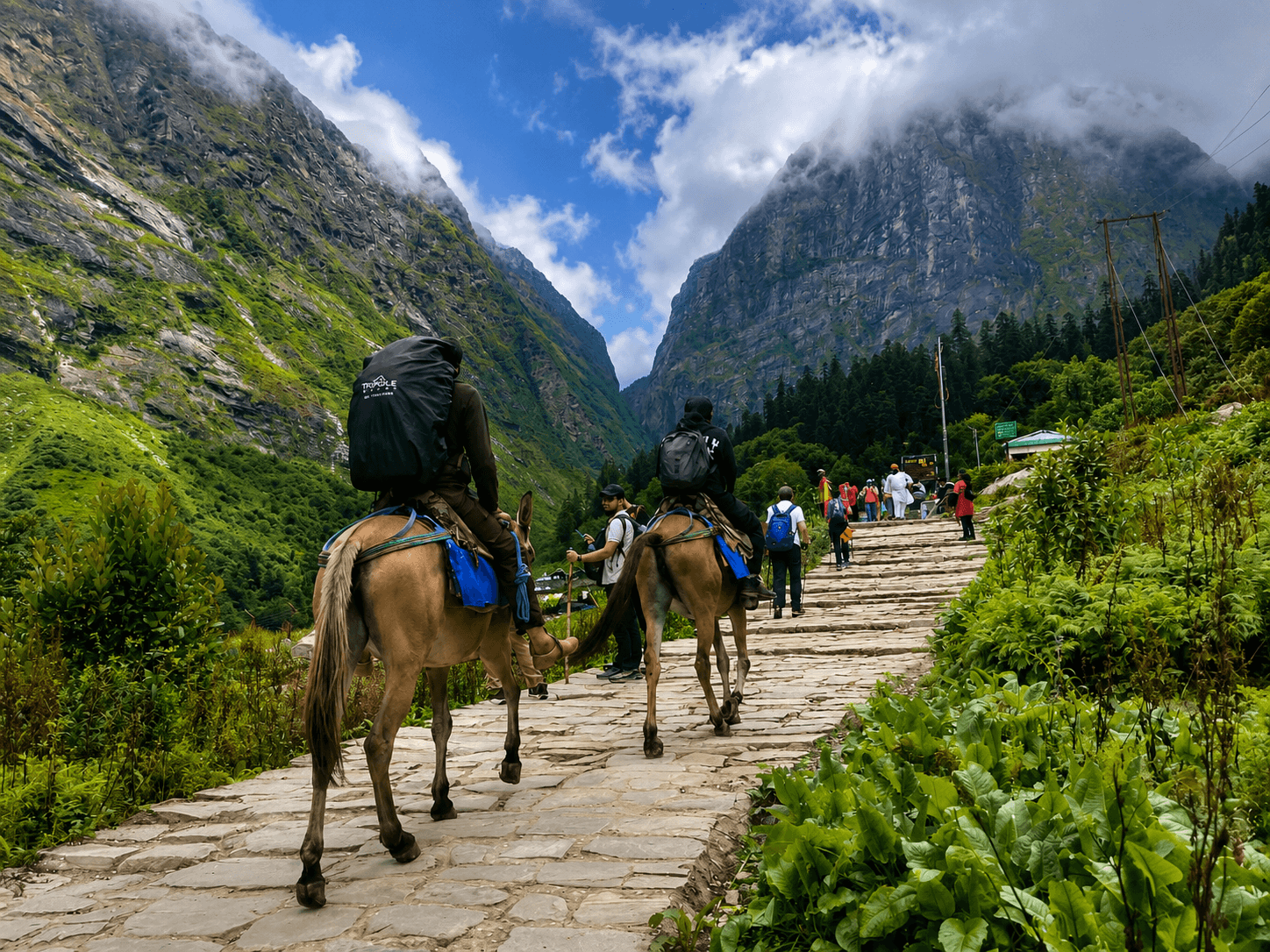 Ghangaria Trek