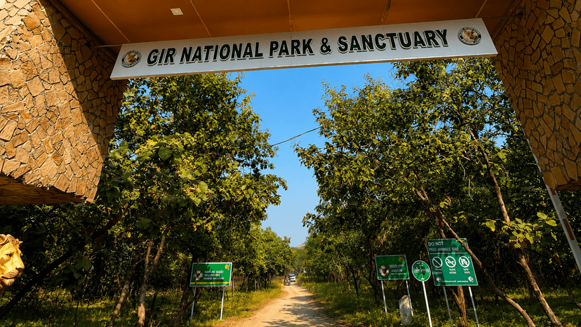 Gir National Park