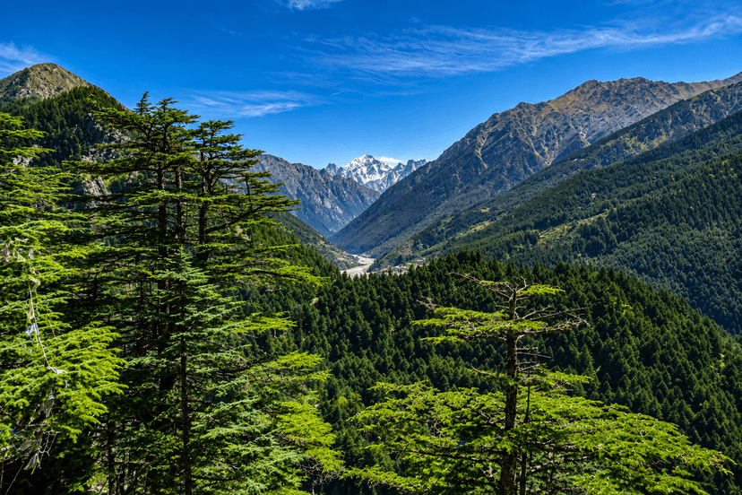 Harsil valley