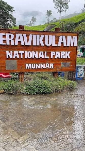 Eravikulam National Park