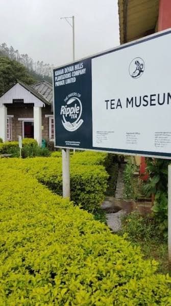 Tea Museum