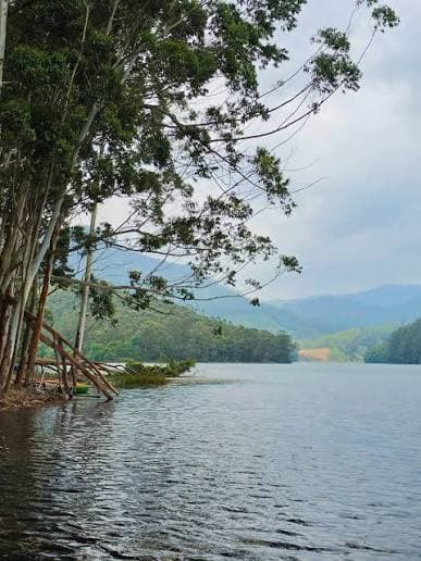 Mattupetty Dam
