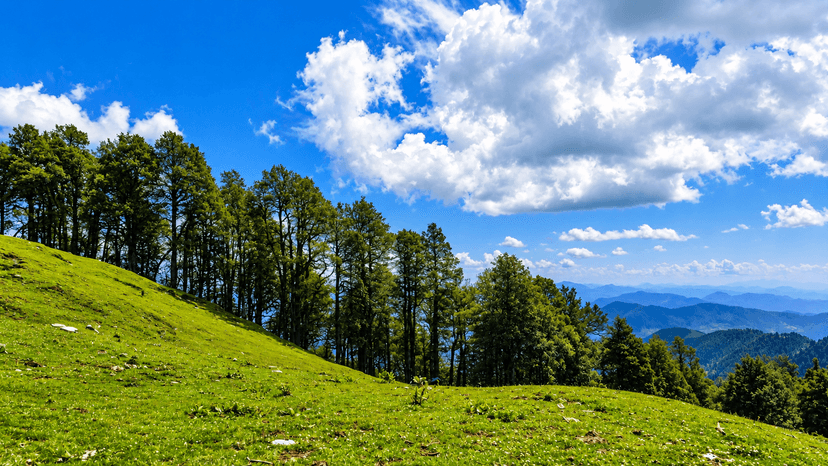 Jalori Pass