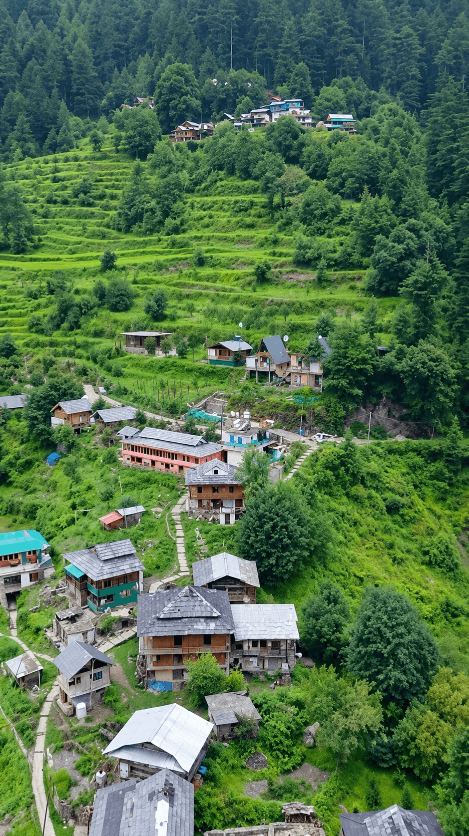 Jibhi Village