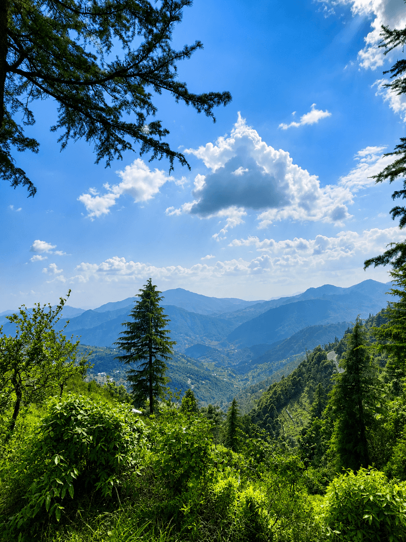 Kanatal Forest