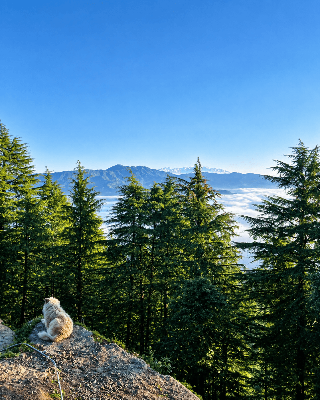 Mussoorie Nature & Waterfalls Escape