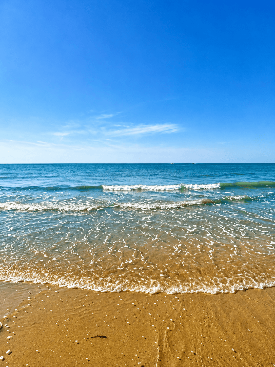 Mandvi Beach