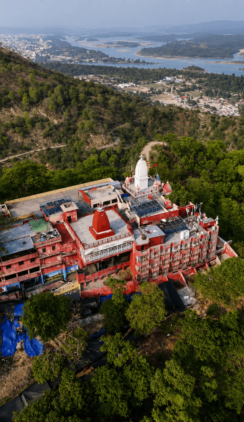 Sacred Mansa Devi
