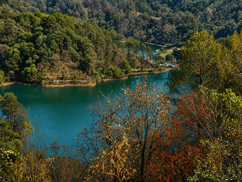 Forest & Lakes