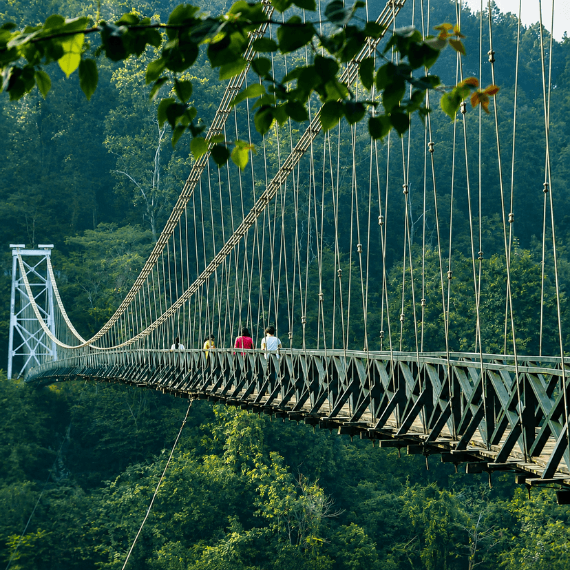 Singshore Bridge