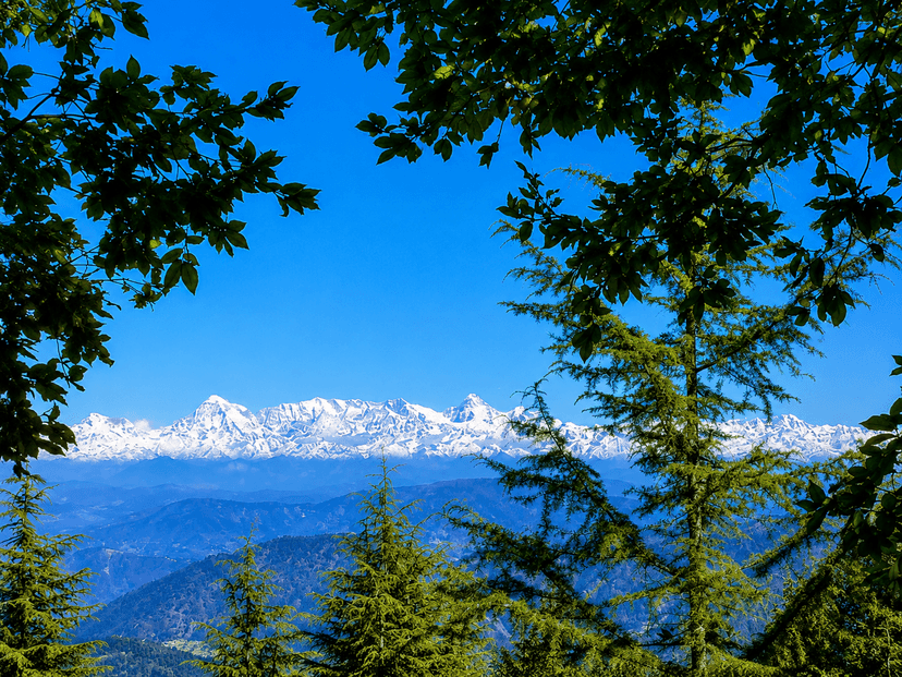 Snow View Point