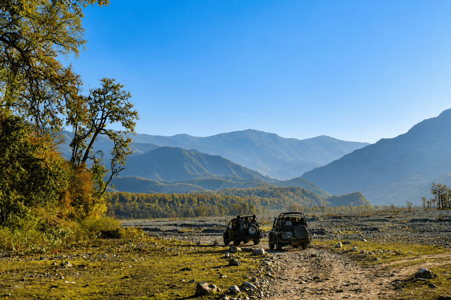 Corbett Safari Adventure
