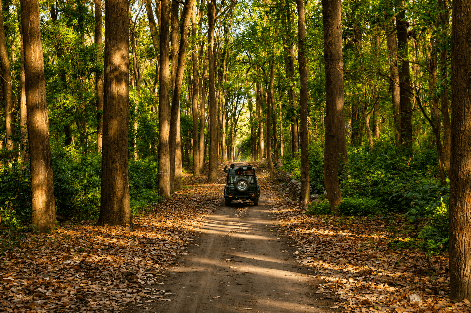 Jim Corbett Jeep Safari
