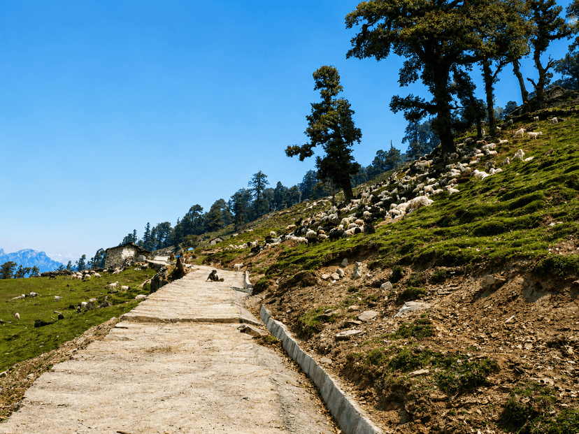 Sacred Tungnath Trek