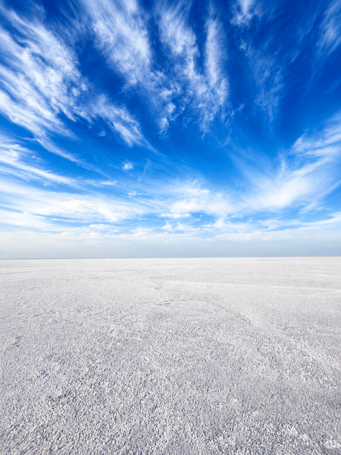 White Rann