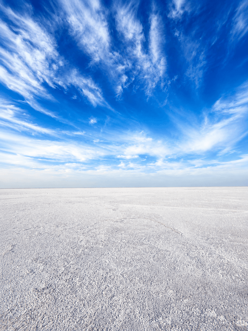 White Rann