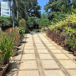Athirappilly Greenland Resort photo 5