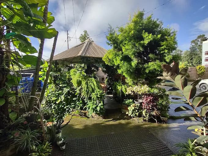 Magen