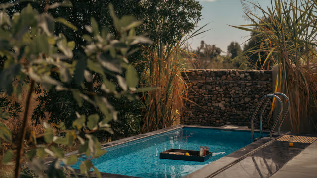 Luxury with plunge pool safari