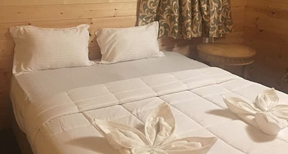 Deluxe Swiss Cottage Room Pool View