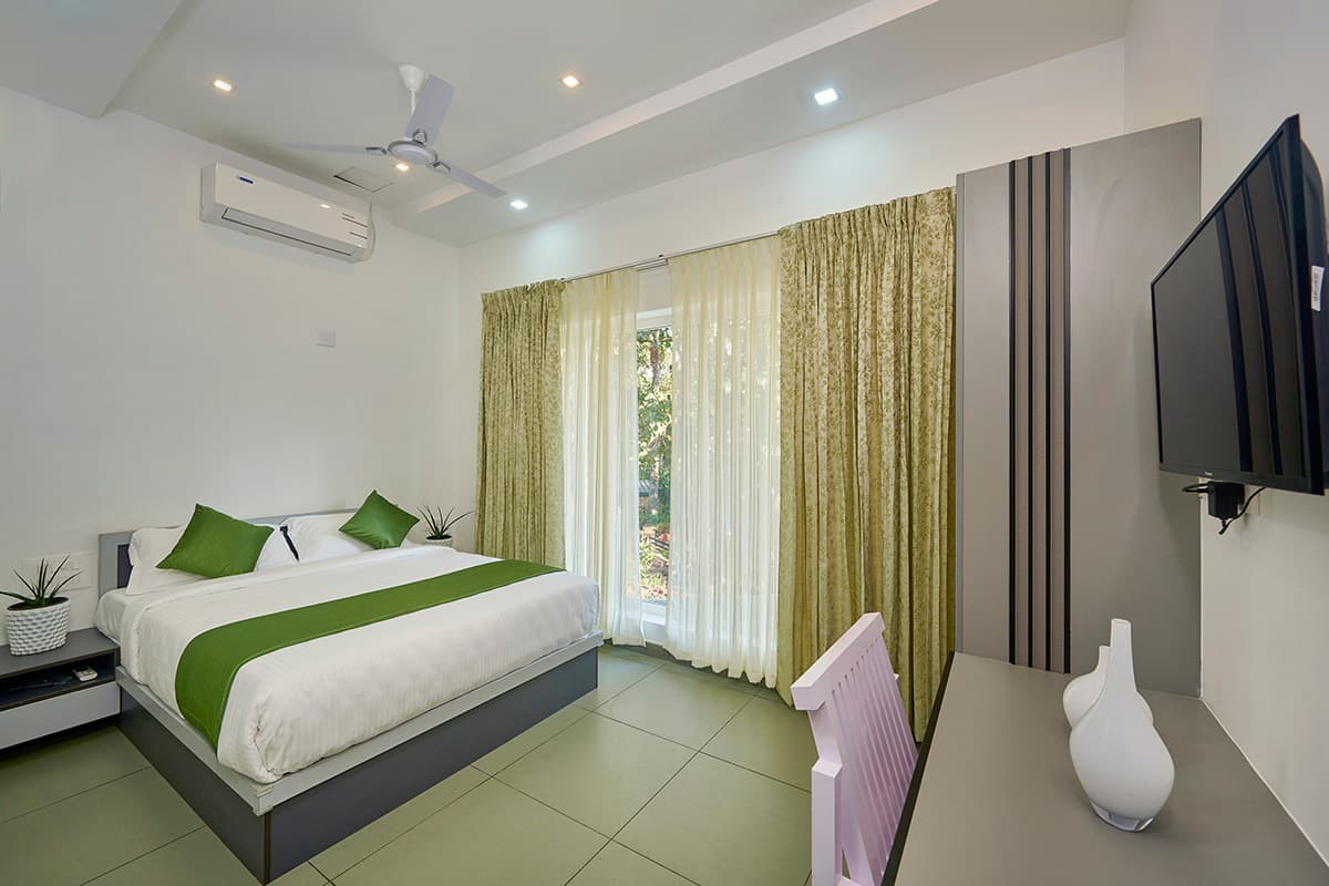 Seed (Suite Room )