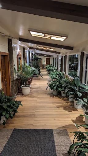 Jiva Resort Cherrapunjee photo 5