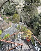 The Naini Retreat, Nainital photo 3