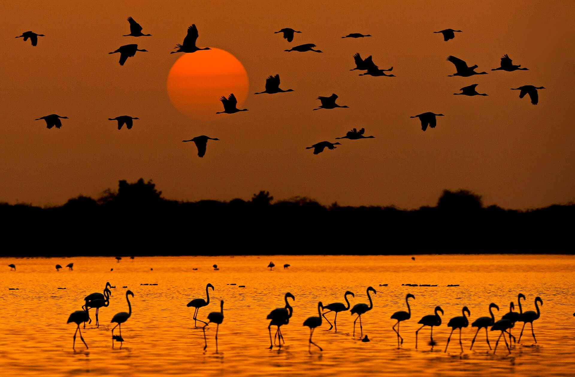 Offbeat Gujarat Explorer