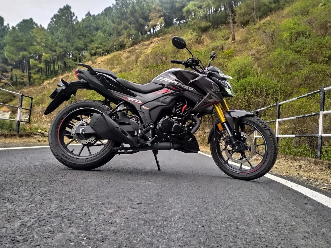Hornet Bike