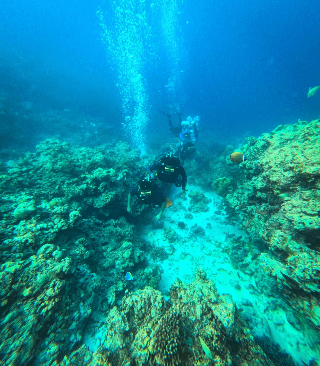 Scuba diving