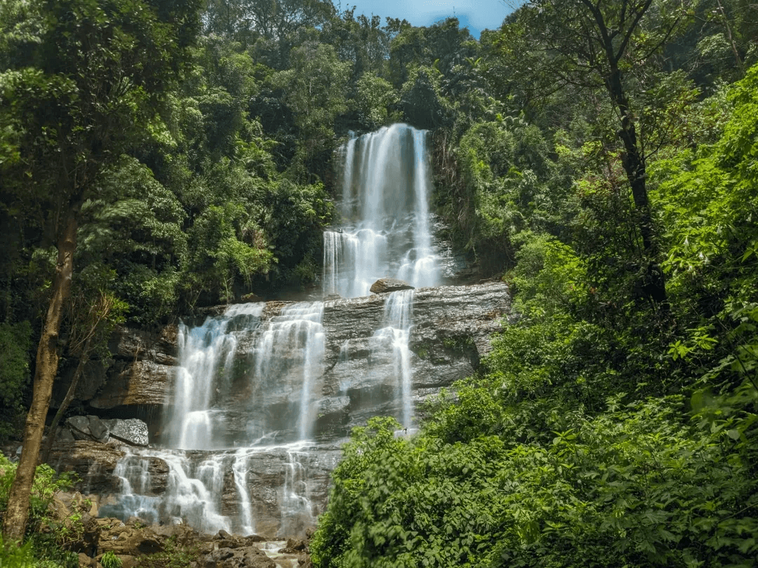 Jhari Falls