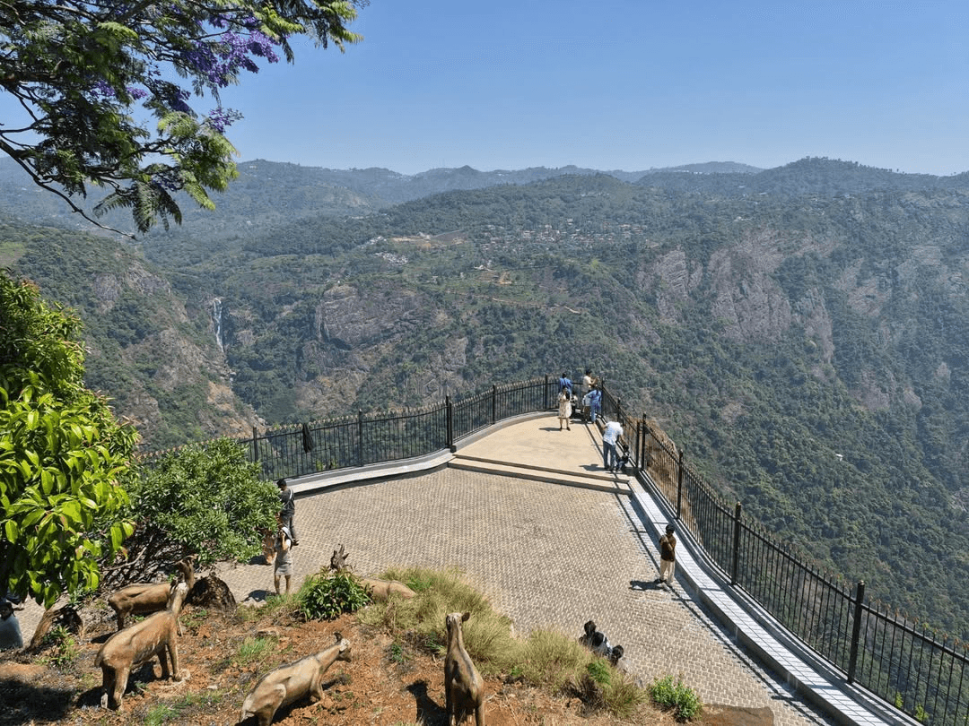 Dolphin's Nose