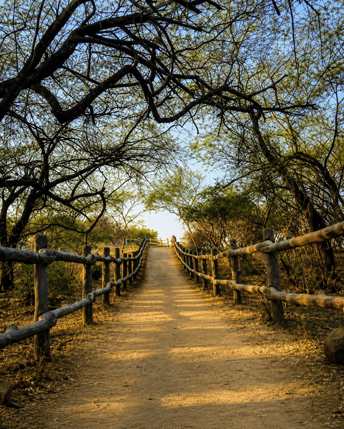 Victoria Nature Park