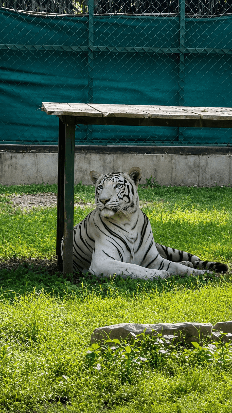 Sarthana Nature Park