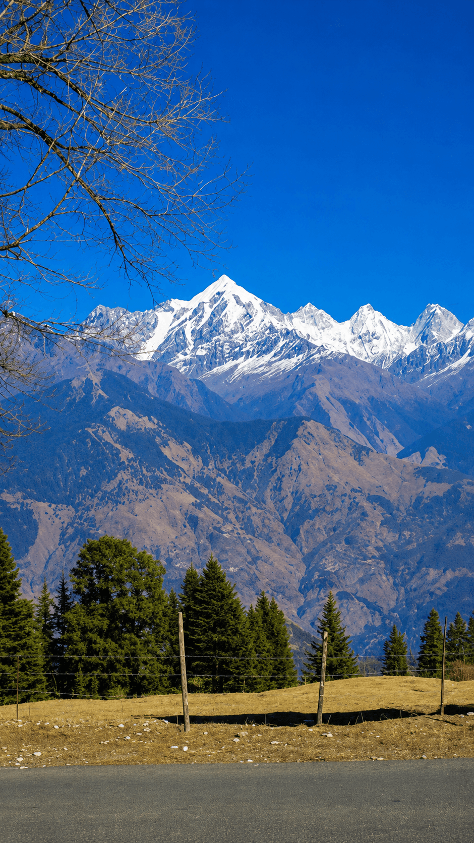 Binsar Uttarakhand Tour Package – Himalayan Views & Forest Escape