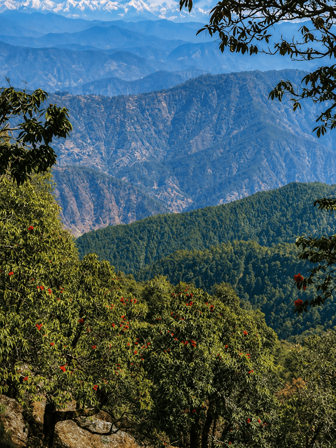 Wildlife Sanctuary