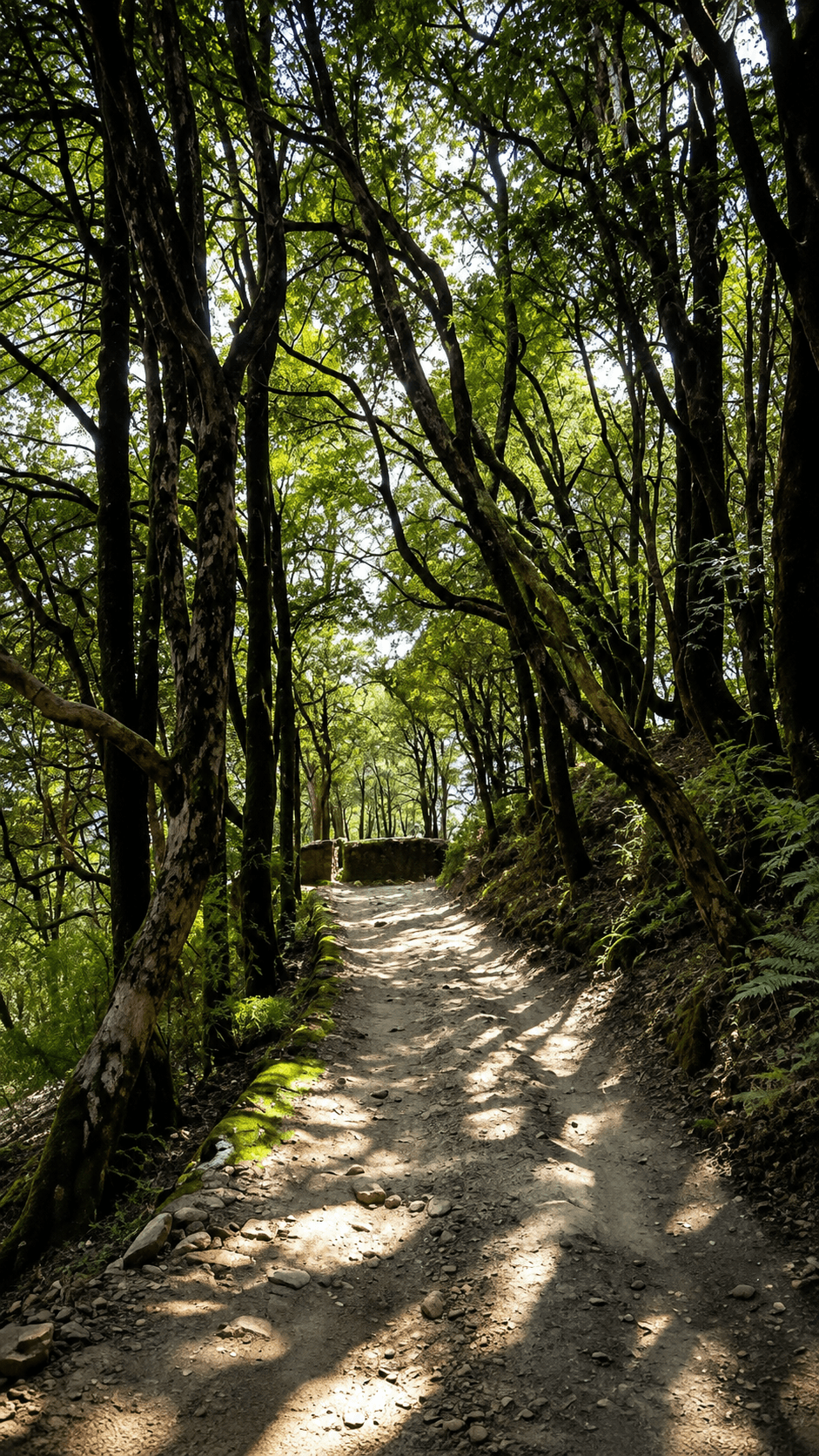 Wildlife Sanctuar
