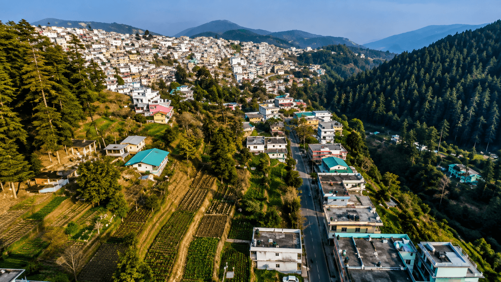 Lohaghat Town