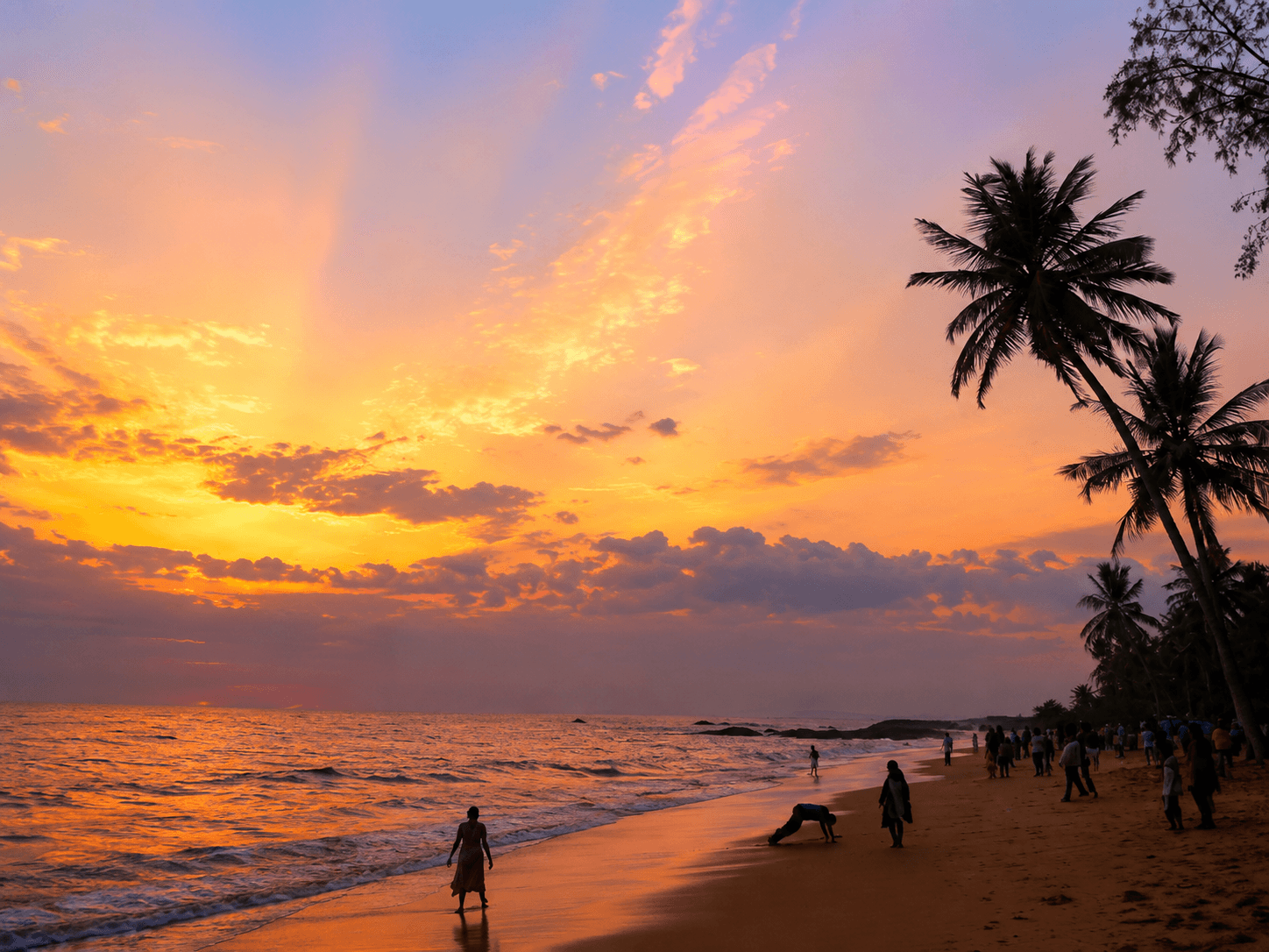Kerala Friends Holiday – Wayanad & Kozhikode