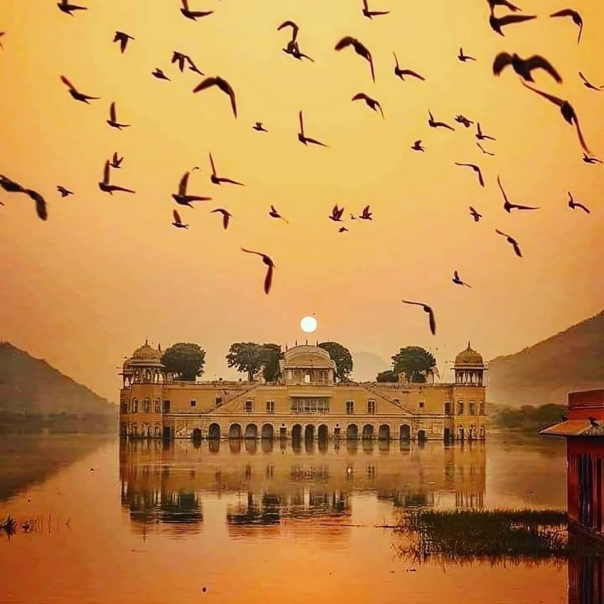Jaipur Cultural Explorer